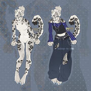 fullbody